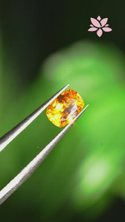 NATURAL CEYLON SAPPHIRE | 1.09 CT | GOLD YELLOW | CUSHION