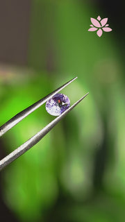 NATURAL CEYLON SAPPHIRE | 1.07 CT | VIOLET | OVAL